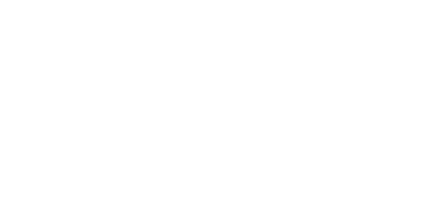 Нью Прогресс Групп