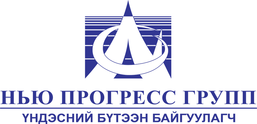 Нью Прогресс Групп